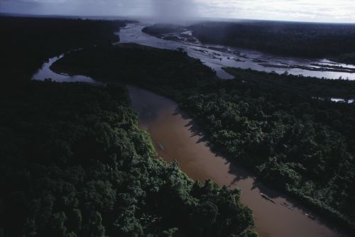 Aerial view of a tributary from Korowai country entering the Eilanden River with a passing rainstorm in the distance.